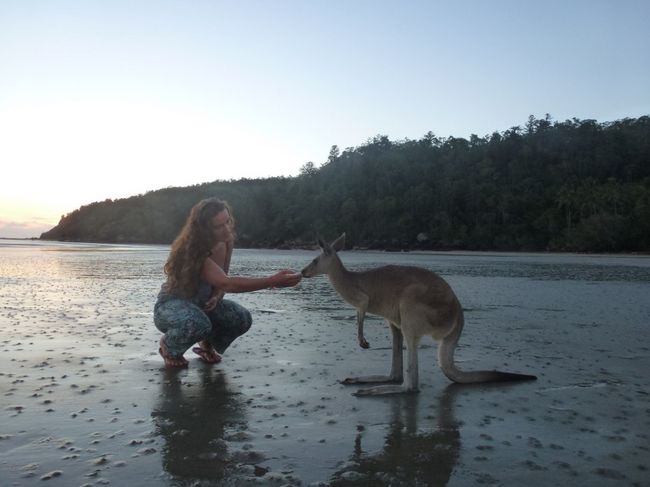 Vroni and the wallaby