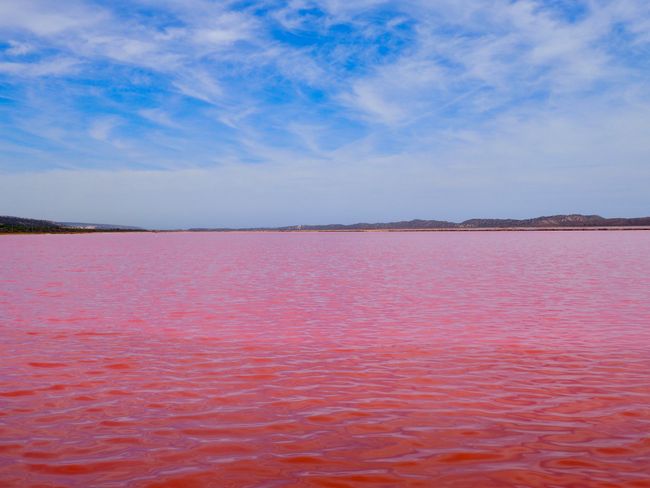 pink lakes ... yes they even have that here