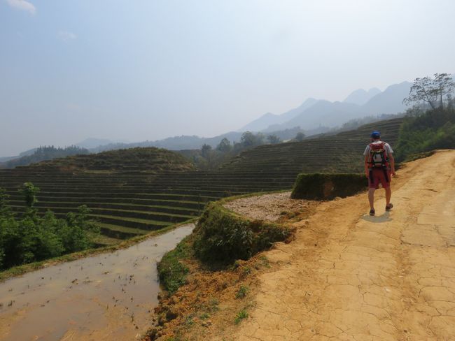 Strolling between the rice terraces