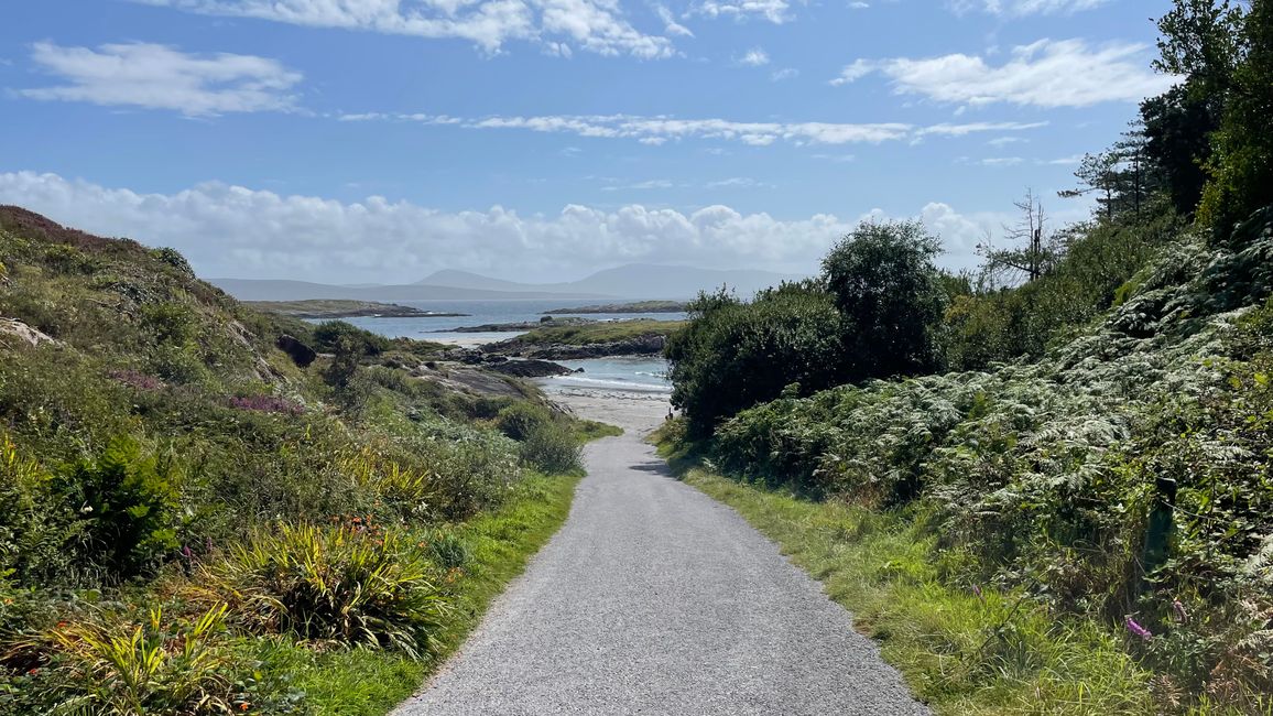 Path to the beach