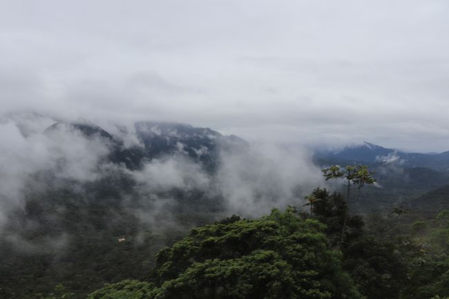 Serra Verde - üppig grüne Berglandschaft im Bundestaat Paraná