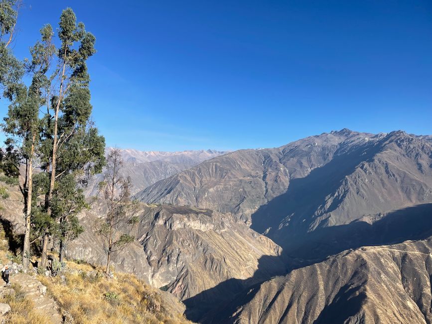 Die Colca Canyon Truppe