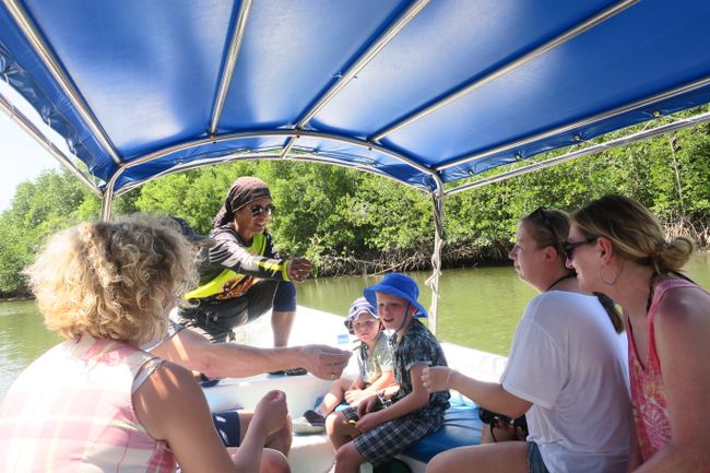 Bootstour durch die Mangrovenwälder 