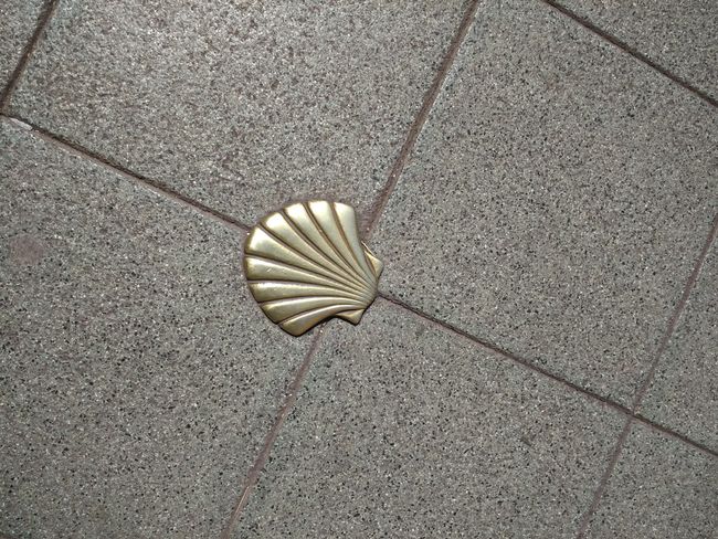 Bronze shell in Gijon