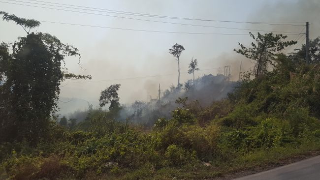 Ein leider typisches Bild für Laos, überall wird Brandrohdung betrieben um Platz für irgendwelche Plantagen zu schaffen. Das Bild stammt übrigens aus einem Nationalpark :-(