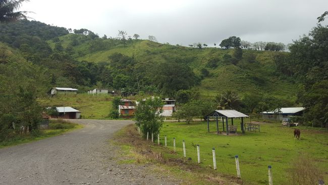 Landscape at the Arenal Volcano