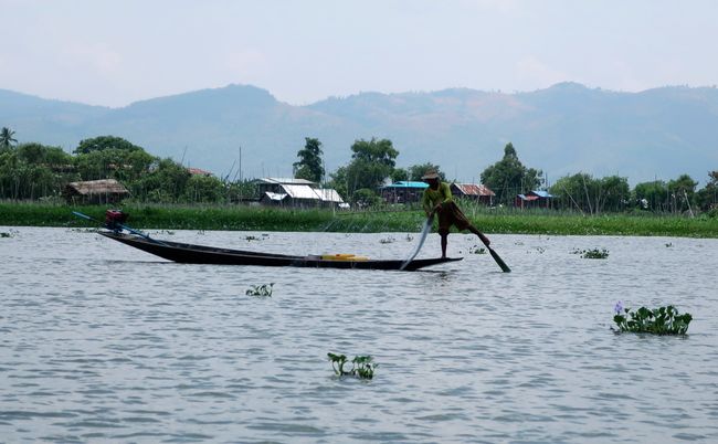 One-legged rower fishing