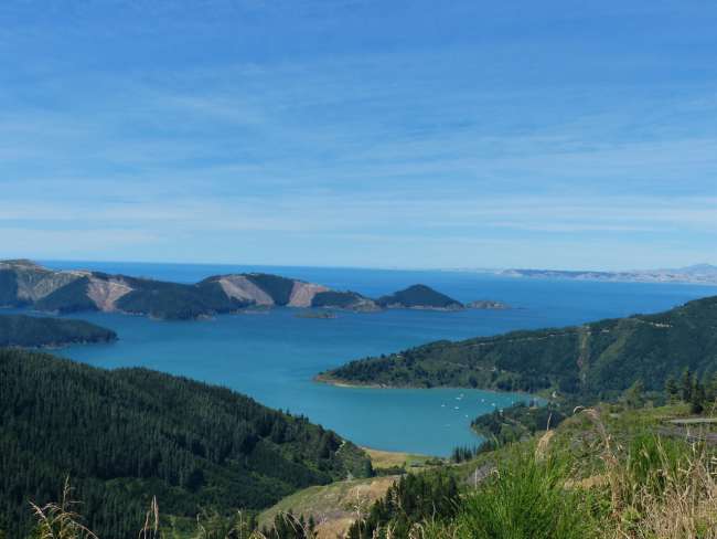 Fjord landscape tour Picton - Blenheim