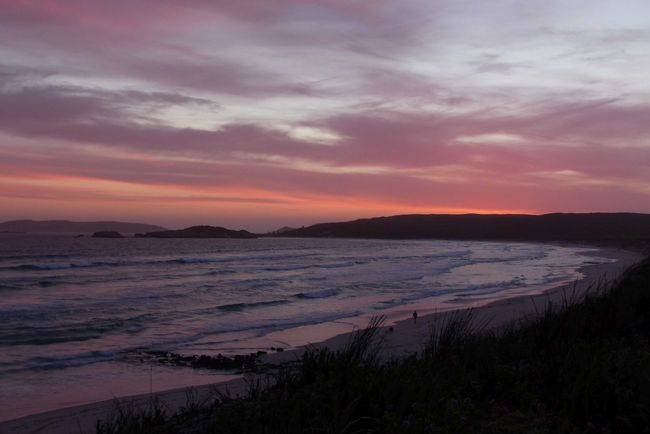 Day 43: Cape Le Grand National Park (Lucky Bay, Thistle Cove) - Esperance