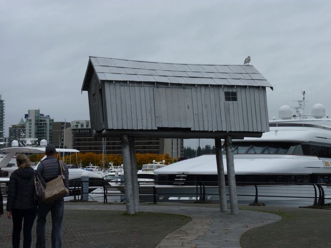 City tour with Canadian humor