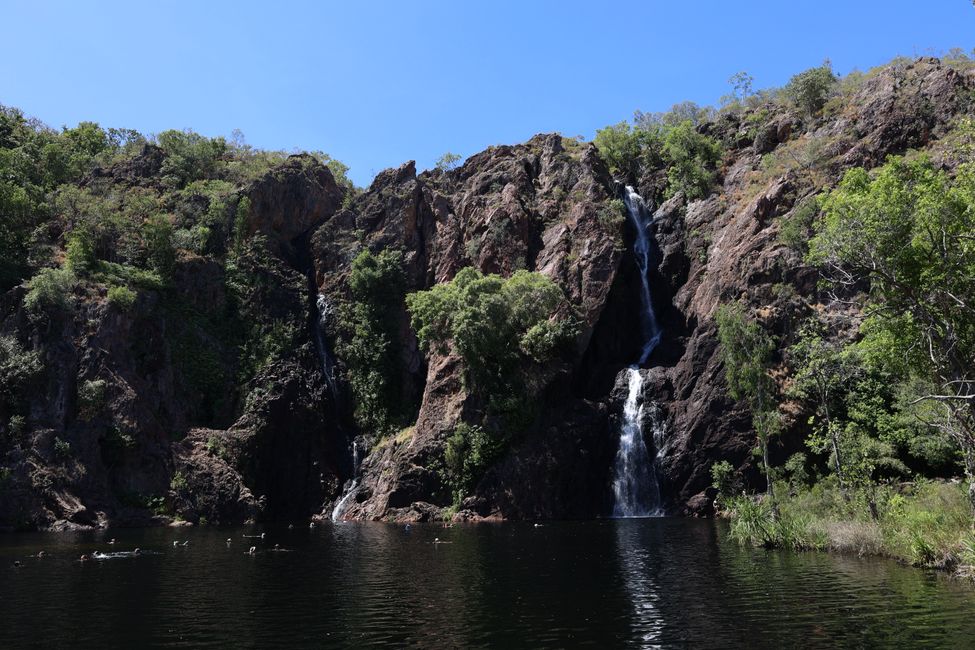 Swimming at Wangi Falls