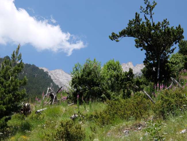 Olympos und meteora