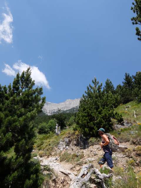 Olympos und meteora