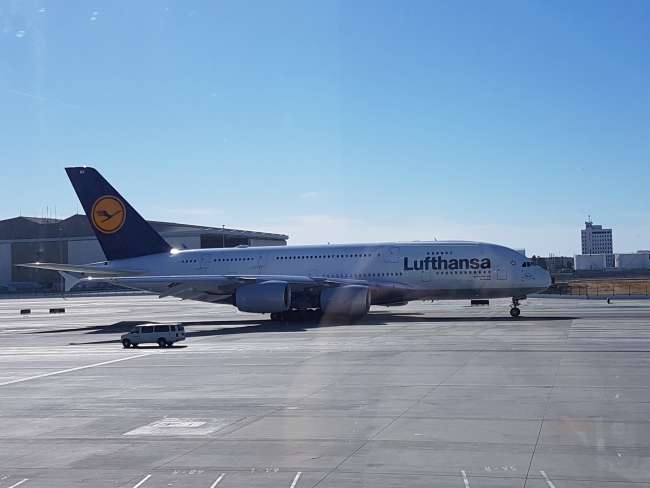 Endlich haben wir auch einen A380 gesehen