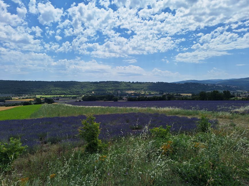 Provence sy Ventoux