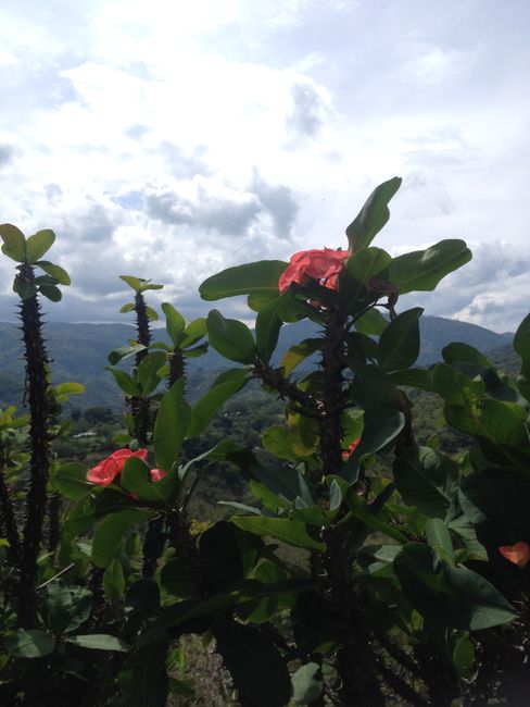 Guatemala: Maya-Ruinenstätte Iximche und Mixco Viejo