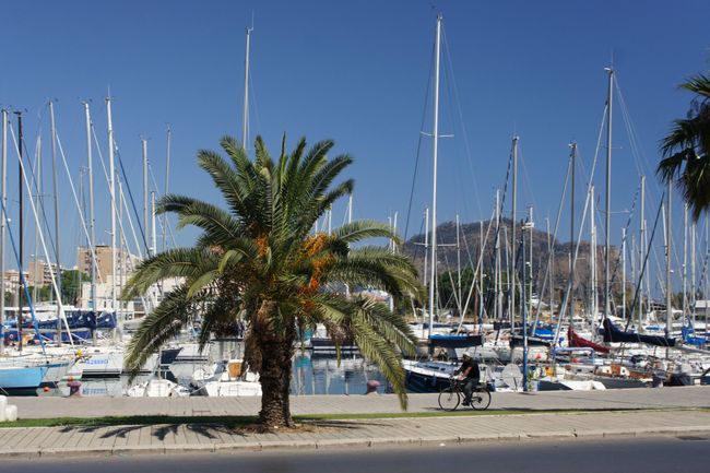 Yachthafen mit Blick auf den Monte Pellegrino