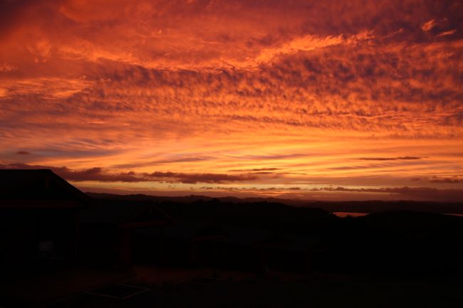 Waitata Sunsets
