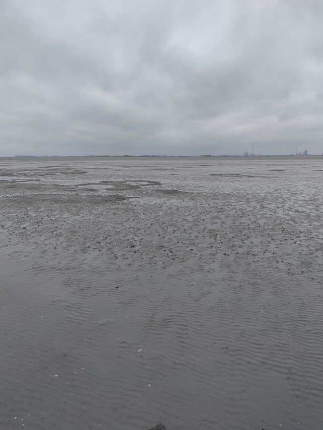The Wadden