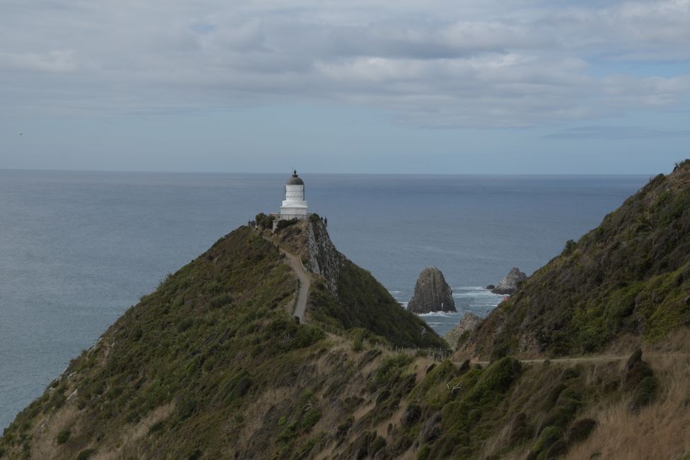Catlins - Nugget Point