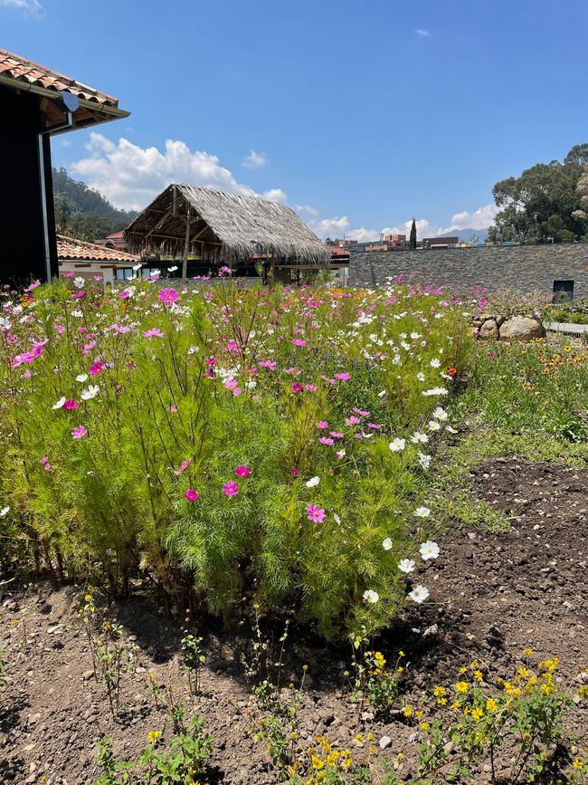 Jardin Botanico