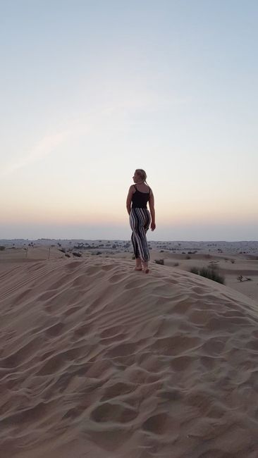 Endlich geht es in die Wüste