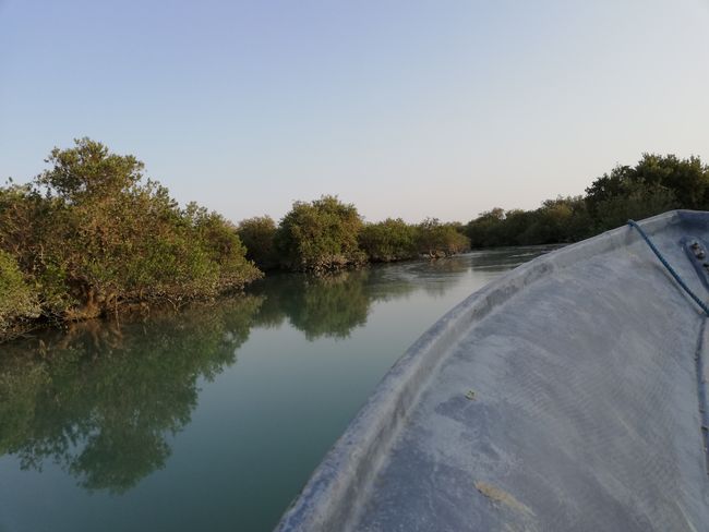The mangrove forests in the north of the island