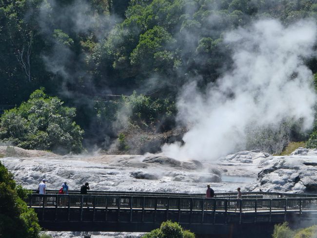 Rotorua - Geothermical Wonders