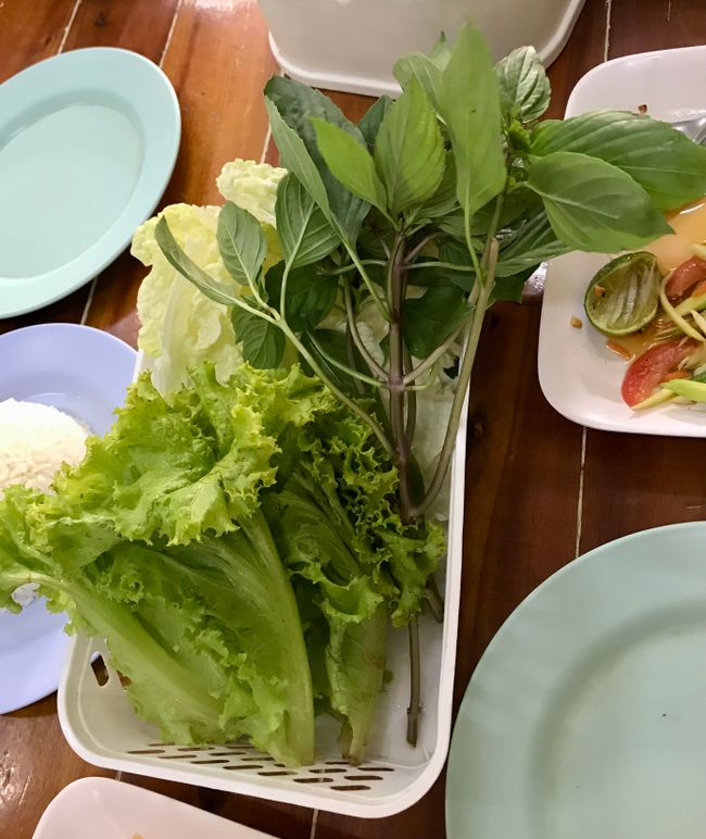 Salatblätter ohne Würze als Beilage