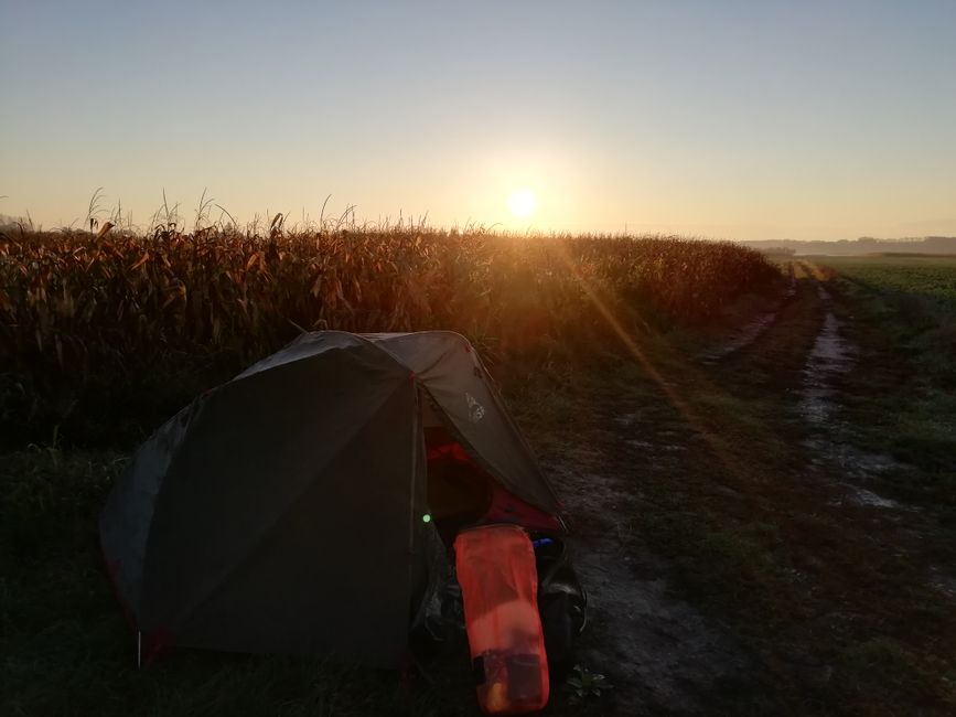 Sonnenaufgang am nächsten Morgen. Während der Erntezeit sollte man besser nicht zu lange auf dem Feld schlafen! 