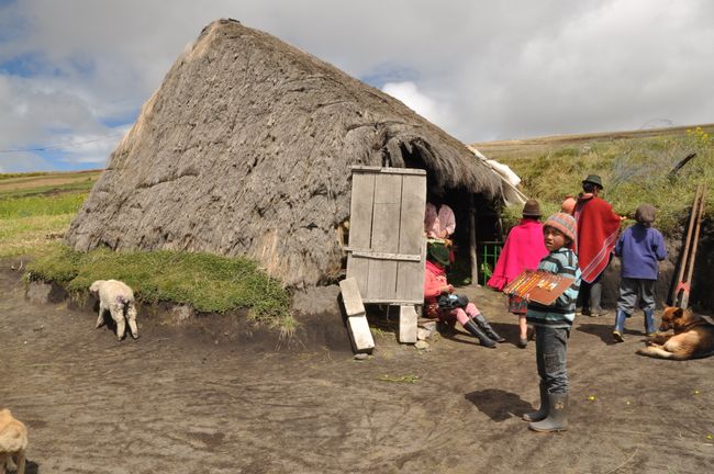 The hut consists of nothing more than a thatched roof