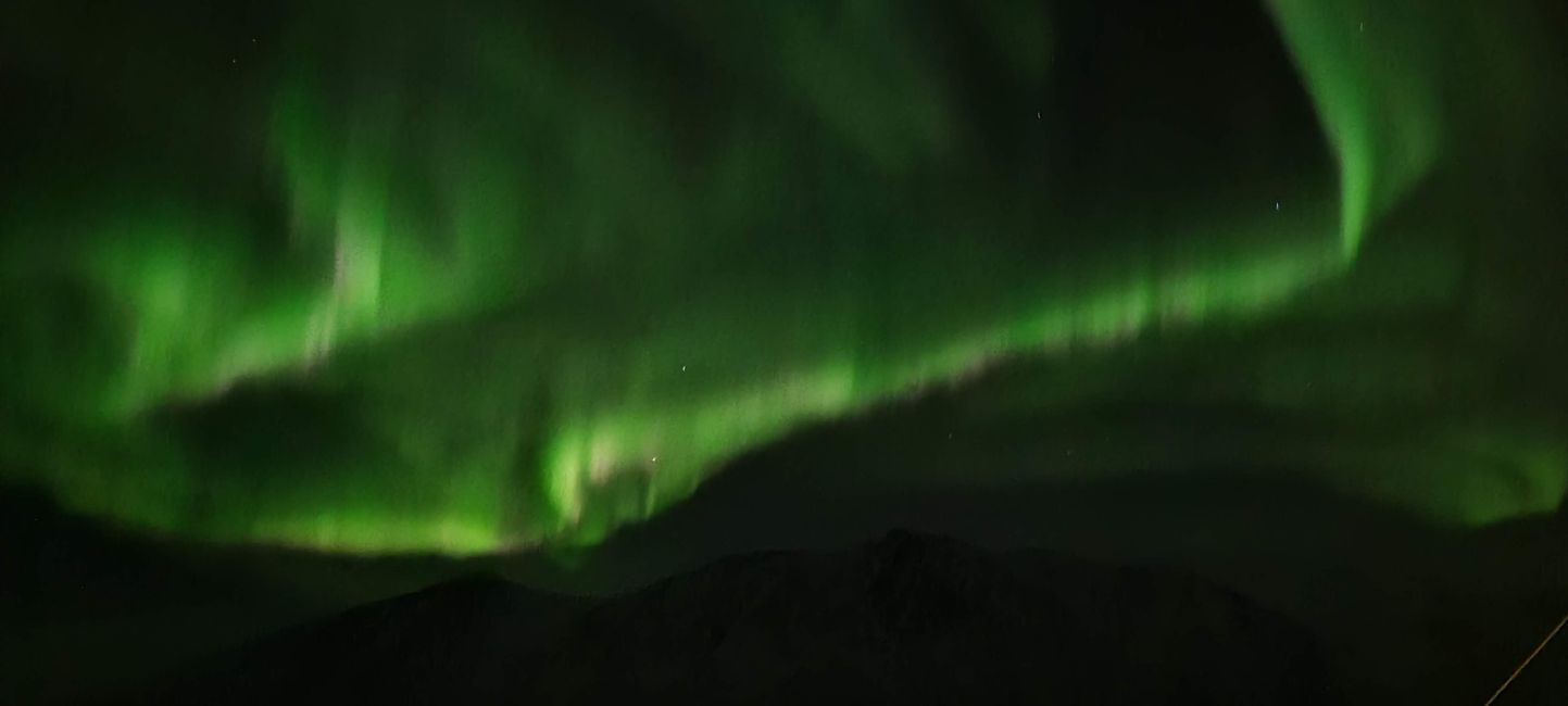 Hurtigruten Richard With
26th December 2022