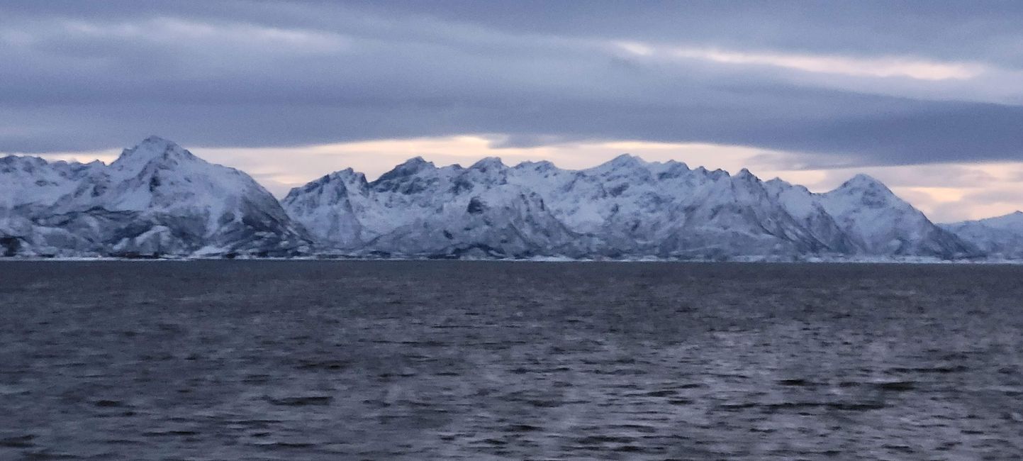 Hurtigruten Richard With
27th December 2022