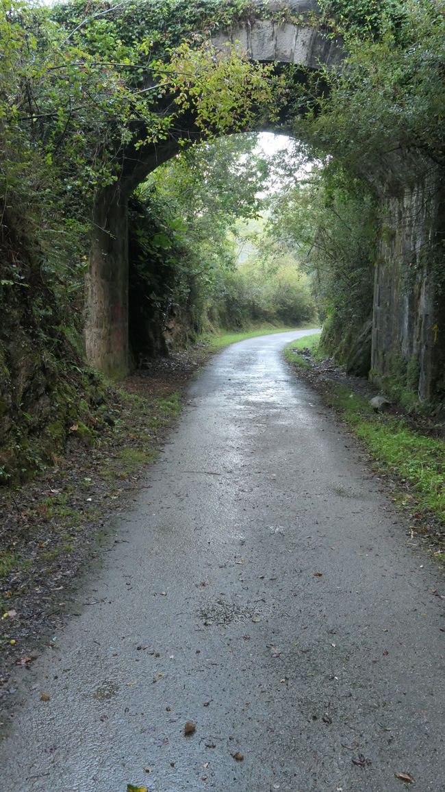 Stage 8 Onton to Laredo