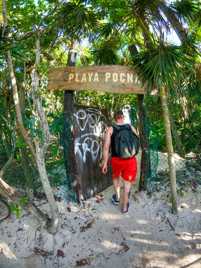 Tag 272 - Cenote Calavera