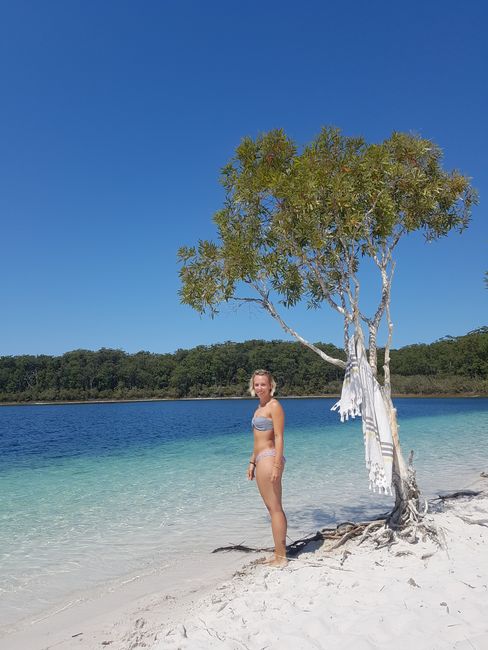 Rainbow Beach and Fraser Island - between beautiful places and creepy spiders!