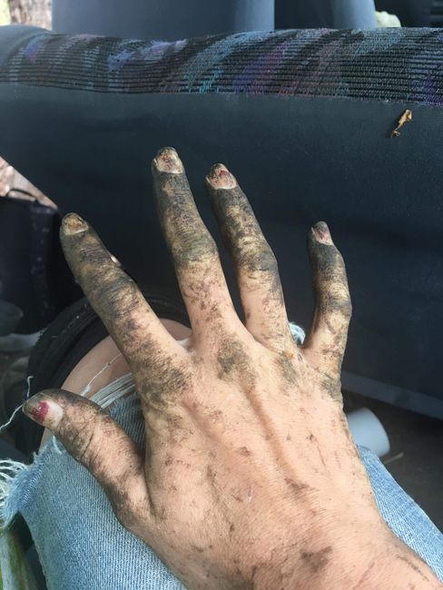 my hands after picking