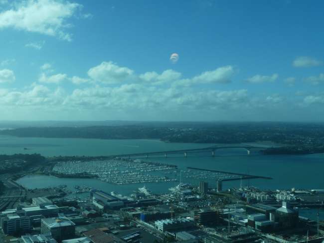 Blick auf den Hafen und die Harbour Bridge von Auckland