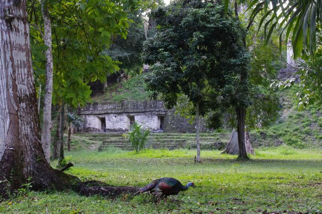 Guatemala: Flores & Tikal