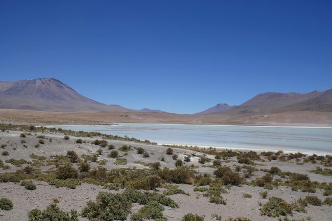 F: Südbolivien (Salar, Lagunas Andinas, Desiertos, Licancabur)