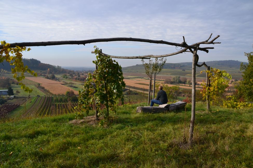 #11 Three hikes in one day - Kaiserstuhl wine region