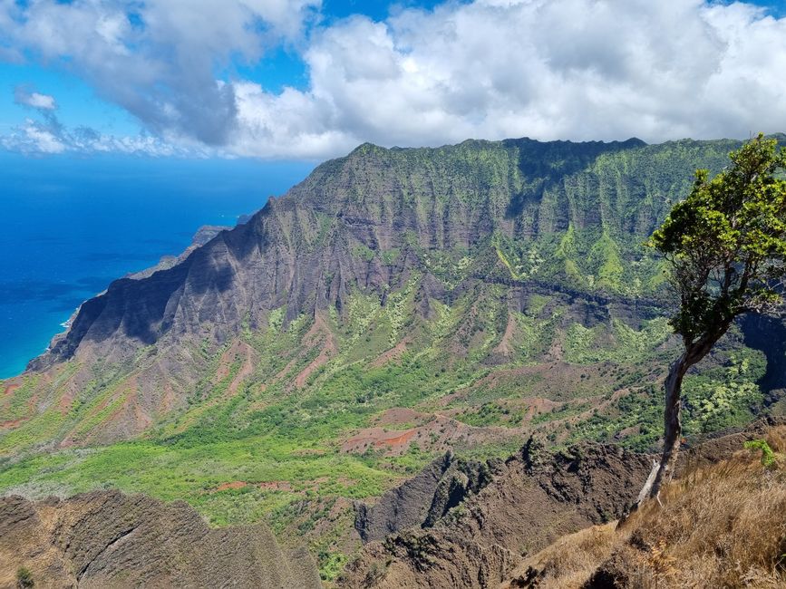 Hawaii 2022 - Teil 2: Kauai