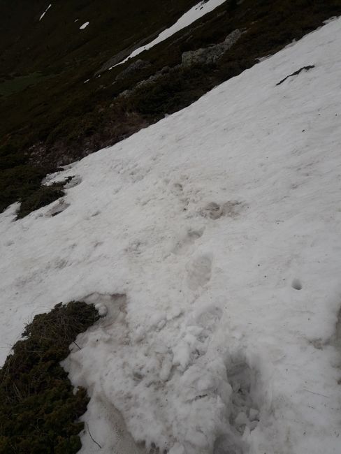 a first snowfield