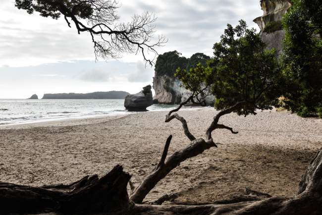20.02.2017 - Neuseeland, Cathedral Cove