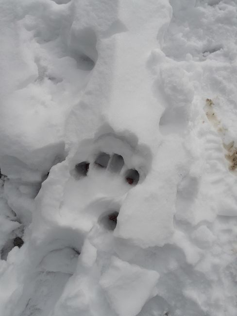 someone left footprints here