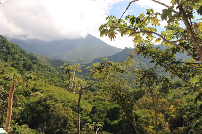 Minca the sleepy mountain village in the Caribbean