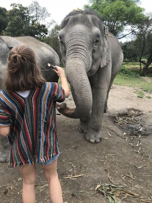 Ein Tag in einem Elefanten Schutzgebiet