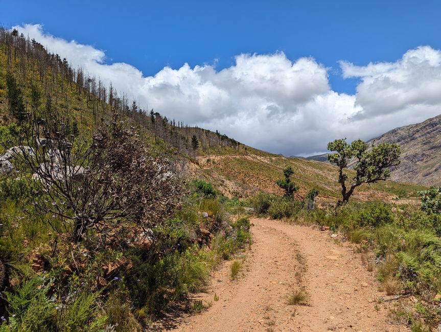 Biken im Jonkershoek Nature Reserve