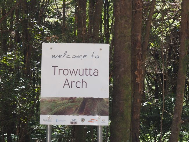 Tarkine Drive, Trowutta Arch, 9 hours in the car and platypuses in Waratah