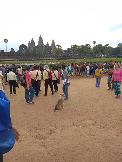 Menschenmenge in Angkor Wat